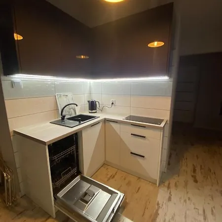 Apartament Nad Jeziorem Bialym Augustow Exterior photo